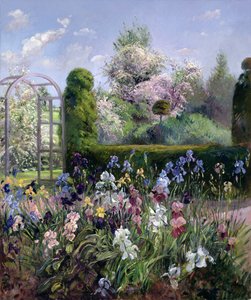フォーマルガーデンのアイリス、1993 作： Timothy Easton
